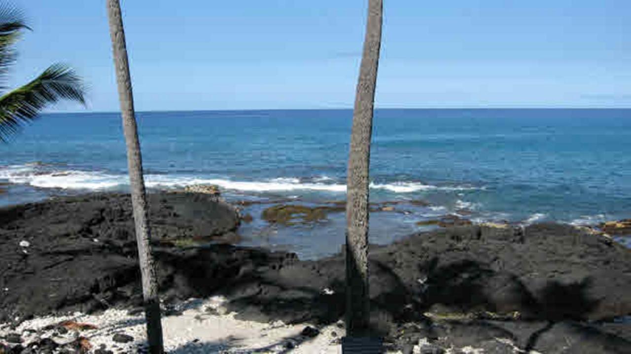 Oceanfront-Incredible Views, Surf Break & Romantic Sunsets At Bali Kai 223 Kailua-Kona Ngoại thất bức ảnh